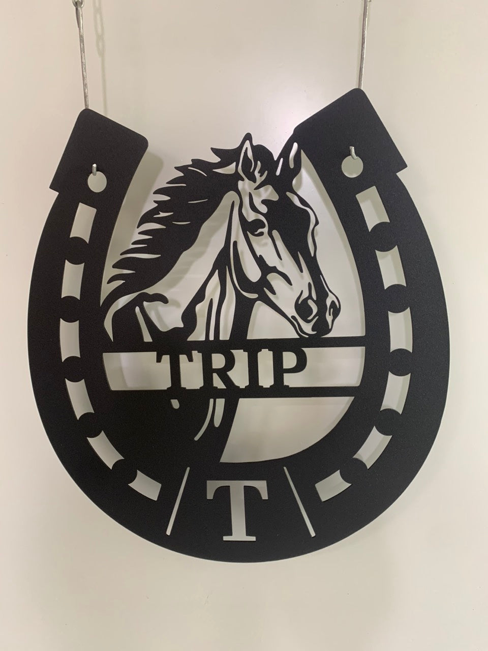 Custom Horseshoe Metal Wall Art Decor, Personalized Horseshoe Metal Name Sign, Horse Farm Ranch Front Door Metal Wall Sign
