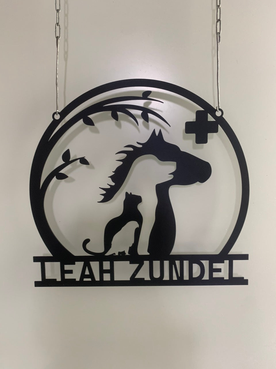 Custom Name Veterinarian Metal Sign, Vet Tech Metal Wall Decor, Veterinarian Office Metal Name Sign, Veterinary Clinic Metal Sign