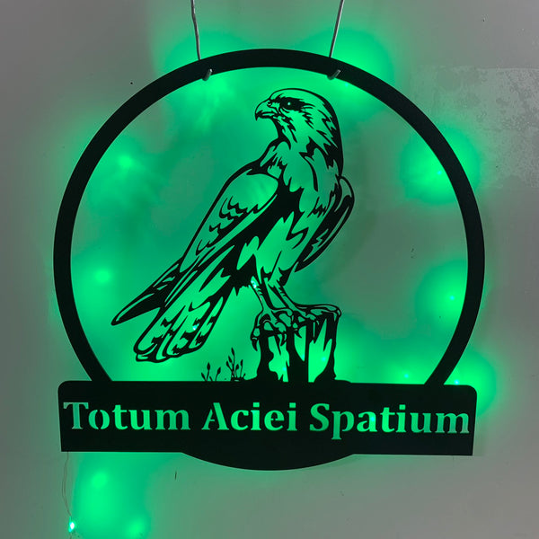 Custom Black Raven Metal Sign With Led Lights, Personalized Name Crow Birds Metal Sign, Black Crow Metal Art, Raven Monogram Metal Wall Art