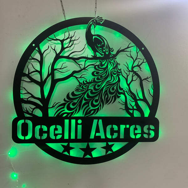 Personalized Peacock Metal Name Sign Led Lights, Custom Peacock Metal Wall Art, Peacock Metal Wall Sign Decor, Peacock Metal Front Door Decor