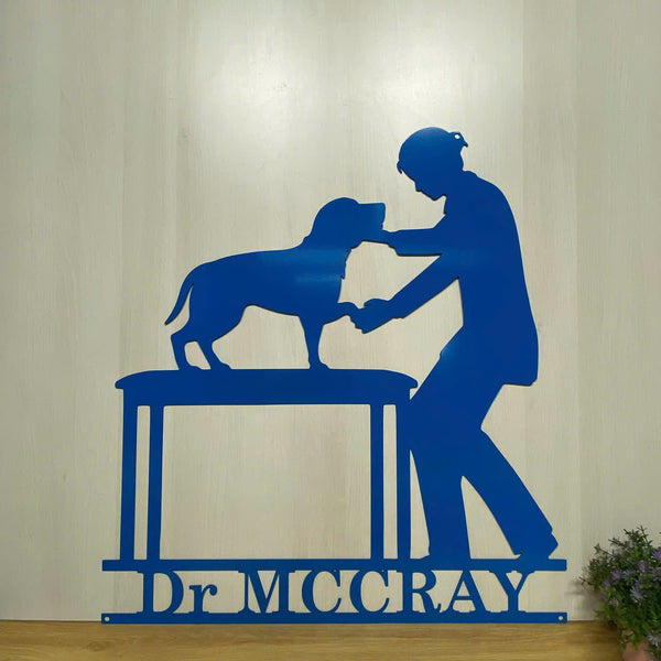 Personalized Veterinarian Metal Name Sign, Custom Veterinary Metal Wall Art, Veterinary Doctor Office Wall Hanging Sign, Graduation Gift For Vet